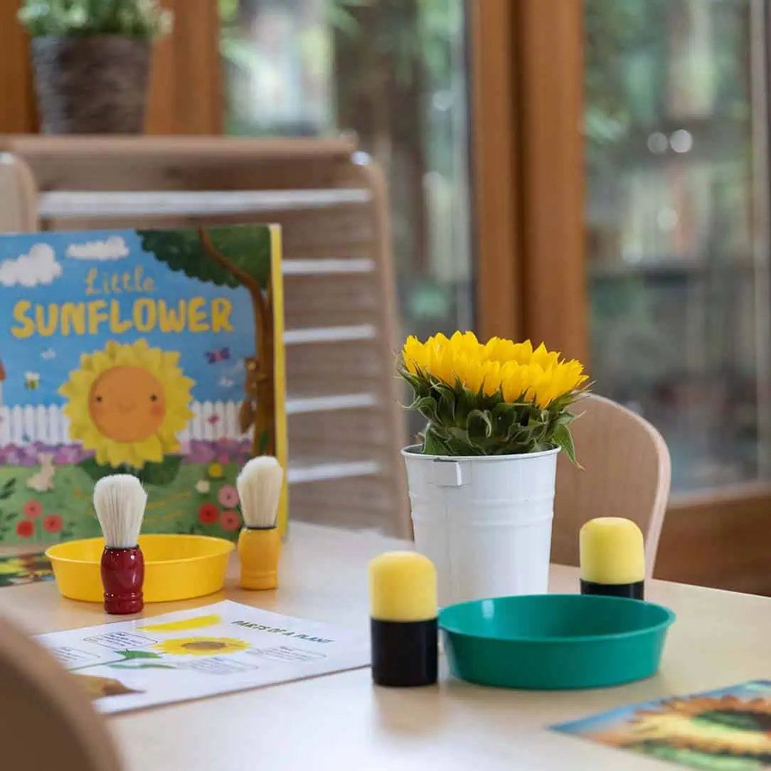 Arts and craft learning Brightly lit preschool classroom with a sunflower-themed activity setup, including art supplies, a sunflower picture book, and a fresh sunflower in a white pot, ideal for early childhood education at Monkey Puzzle Day Nursery & Preschool Lightwater.
