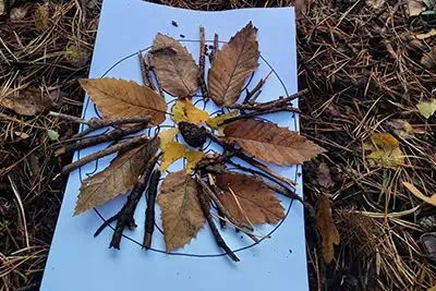 Colorful autumn leaves and twigs arranged creatively on a white paper background, showcasing nature-inspired preschool craft activities at Monkey Puzzle Day Nursery & Preschool Lightwater.